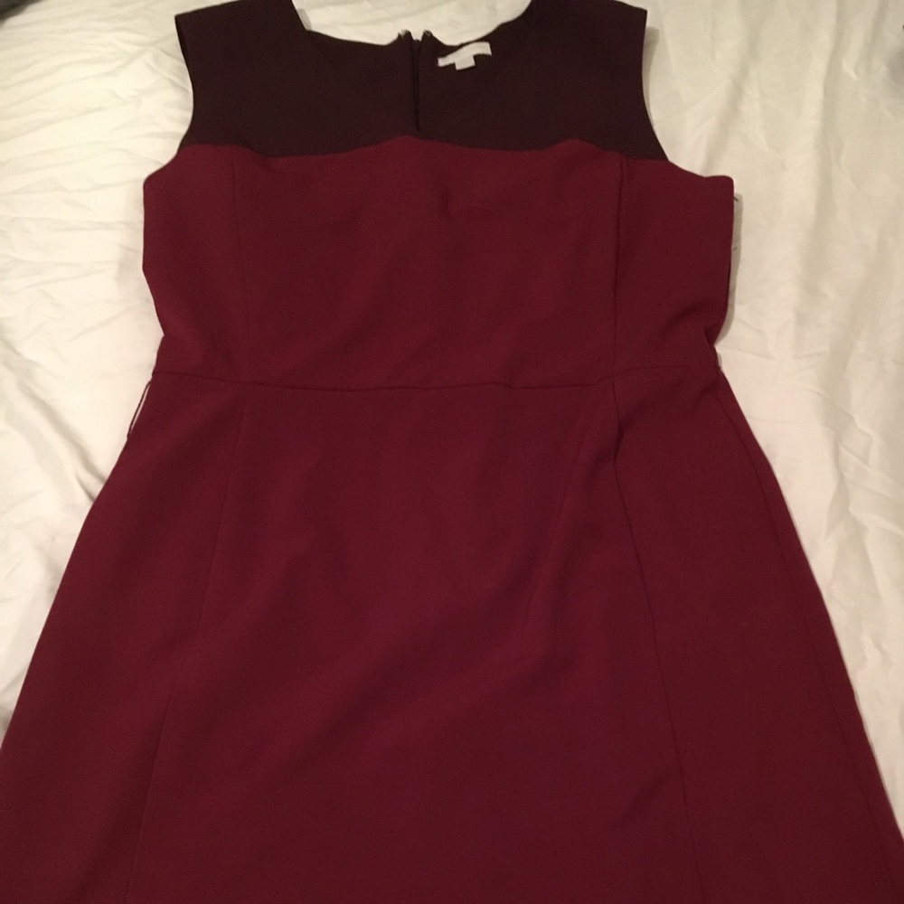 New York & Company 
size 16 
Like new